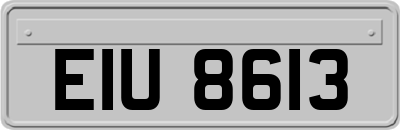 EIU8613