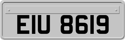 EIU8619