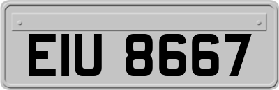 EIU8667