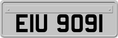 EIU9091