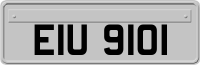 EIU9101