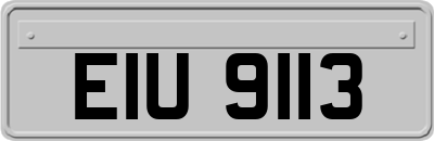 EIU9113