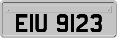 EIU9123