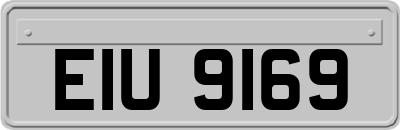 EIU9169