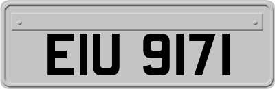 EIU9171