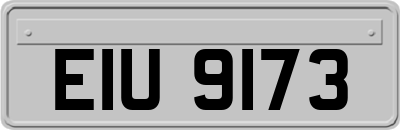 EIU9173