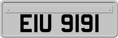 EIU9191