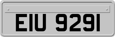 EIU9291