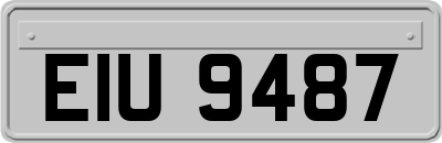 EIU9487