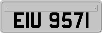 EIU9571