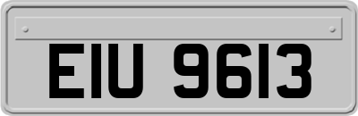 EIU9613