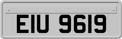 EIU9619