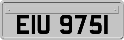 EIU9751