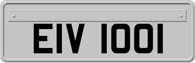 EIV1001
