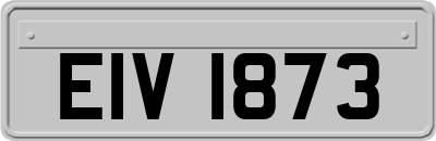 EIV1873