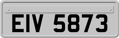 EIV5873
