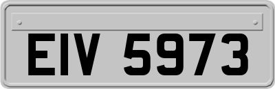 EIV5973