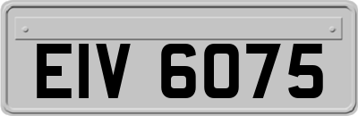 EIV6075