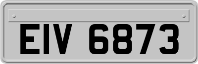 EIV6873