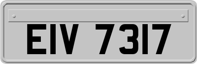 EIV7317