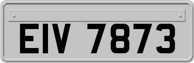 EIV7873