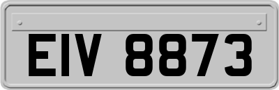 EIV8873