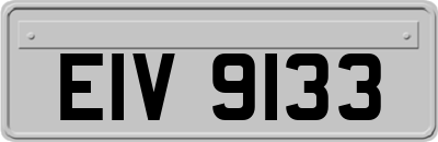 EIV9133