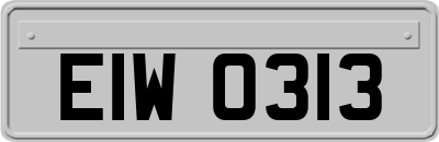 EIW0313