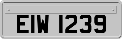 EIW1239