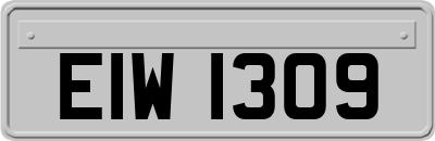 EIW1309
