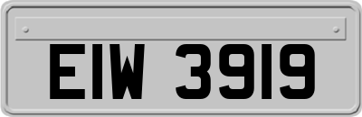 EIW3919