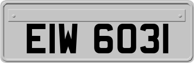 EIW6031