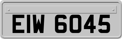 EIW6045