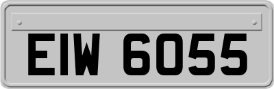 EIW6055