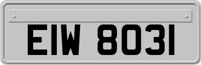 EIW8031