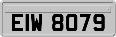 EIW8079
