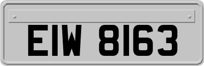 EIW8163