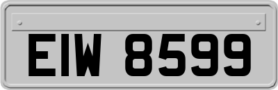 EIW8599