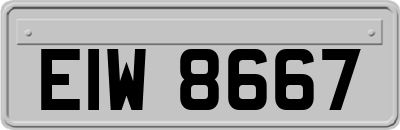 EIW8667