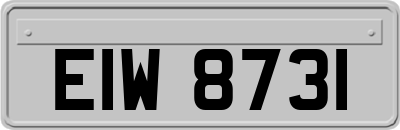 EIW8731