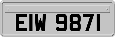 EIW9871