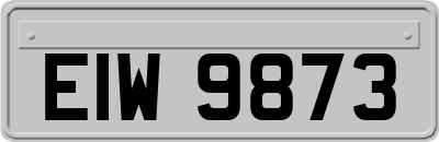 EIW9873