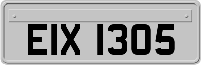EIX1305
