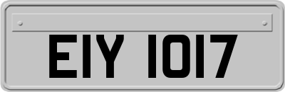 EIY1017