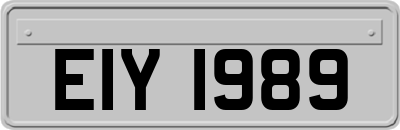 EIY1989