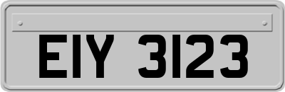 EIY3123