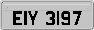 EIY3197