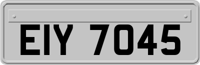 EIY7045