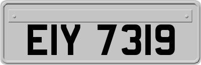 EIY7319