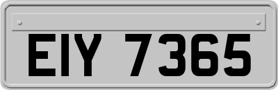 EIY7365